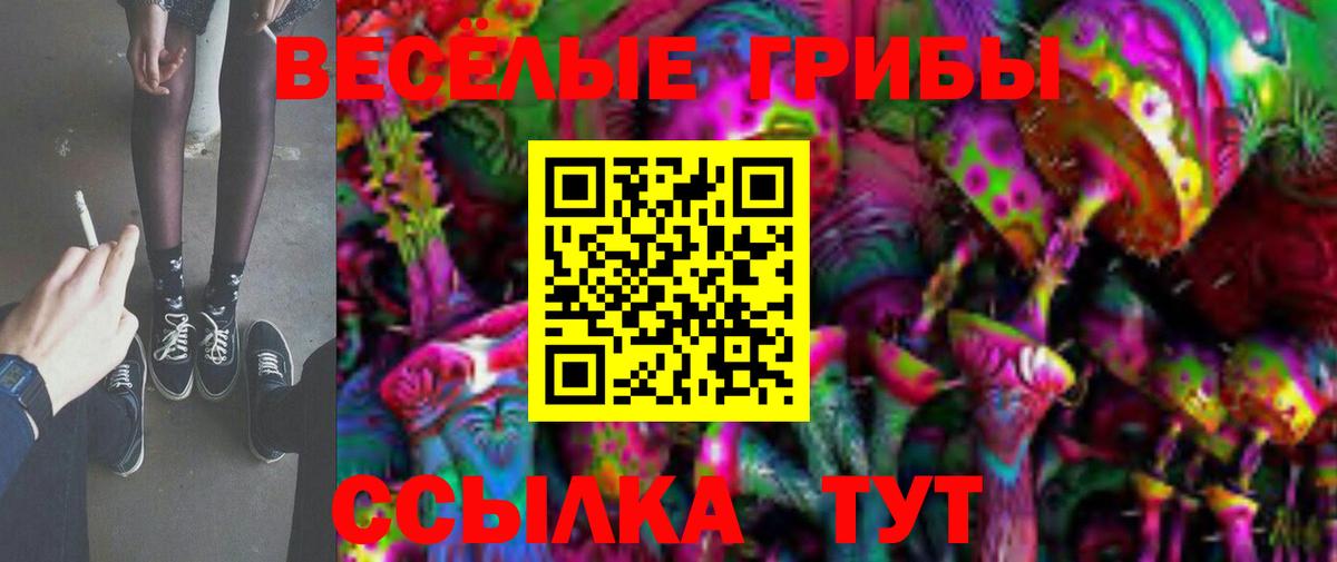 Галлюциногенные грибы Cubensis Ковров
