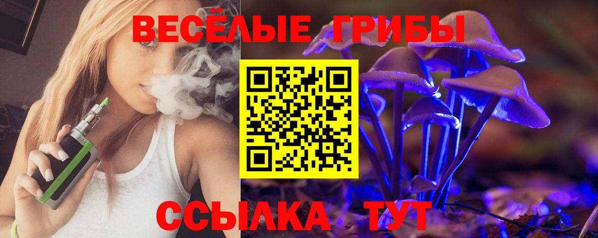 Псилоцибиновые грибы мицелий  Вход с VPN  Ковров 
